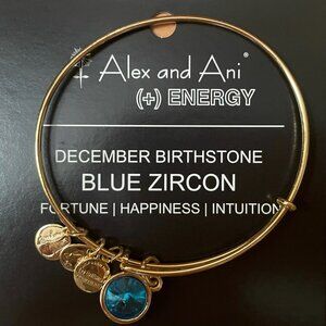 December Birthstone Bracelet